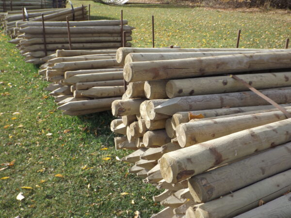 Wooden Fence Posts