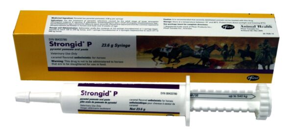 Zoetis Strongid P Paste