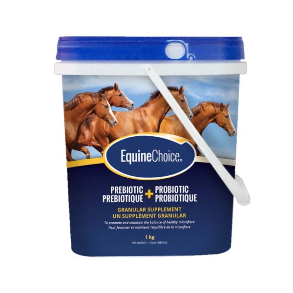 Verona Health Solutions Inc Equine Choice Pre & Probiotic - Granular